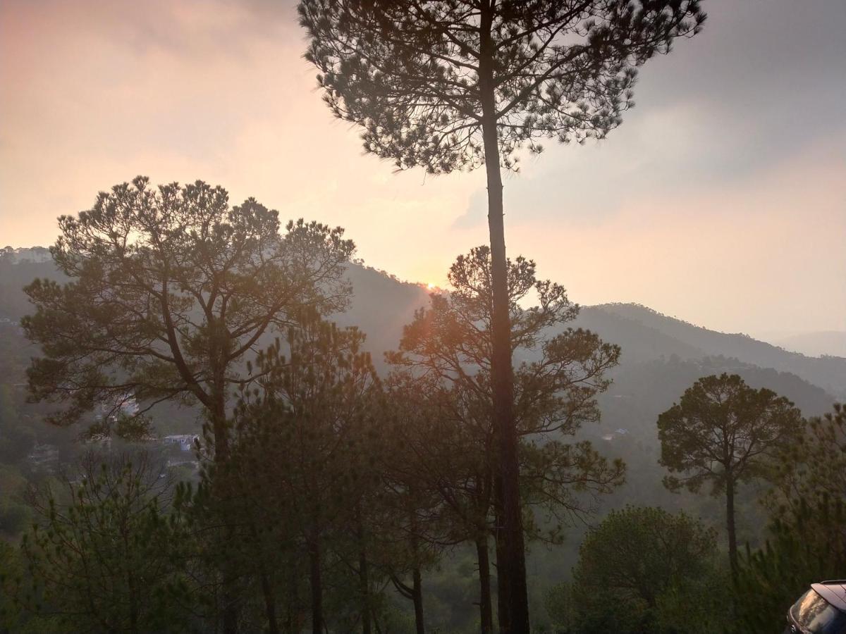 Pine Villa Kasauli Zewnętrze zdjęcie