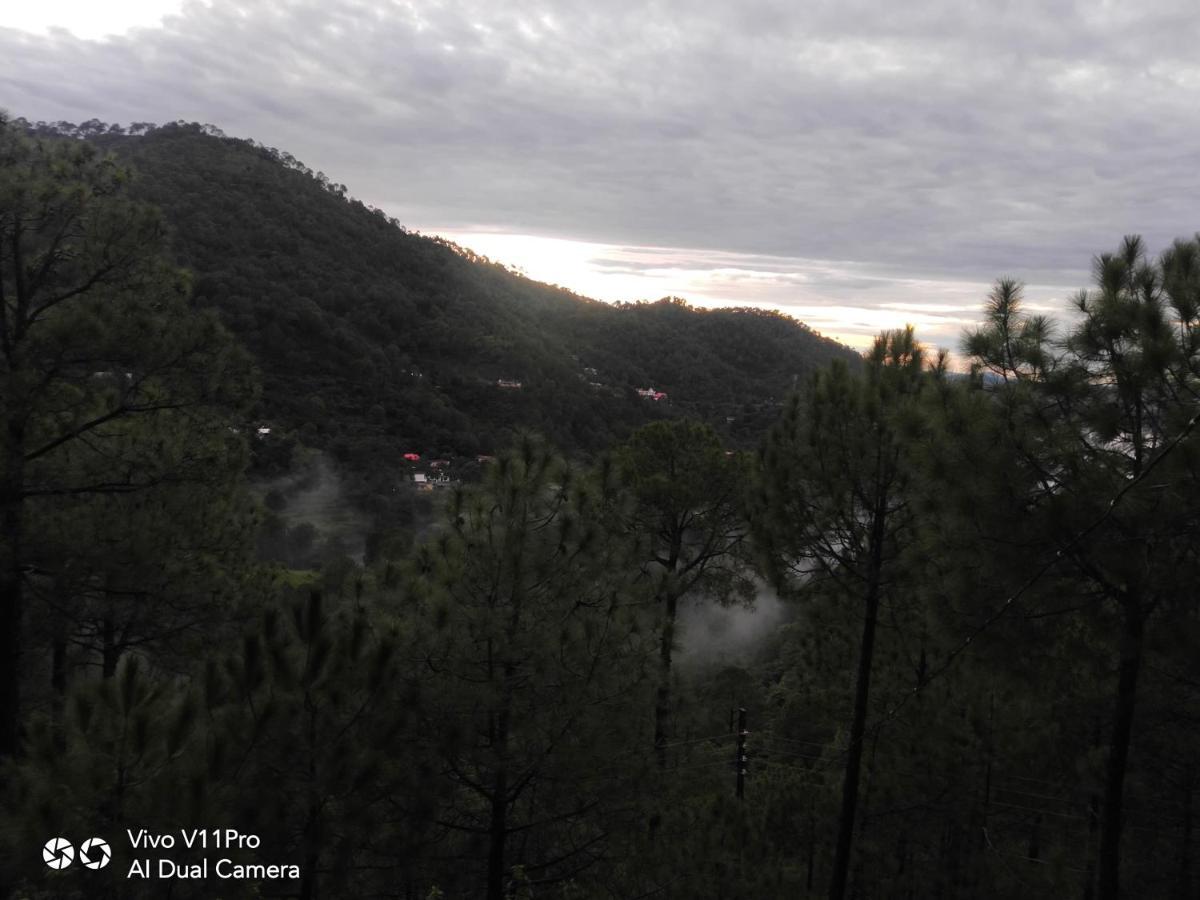 Pine Villa Kasauli Zewnętrze zdjęcie