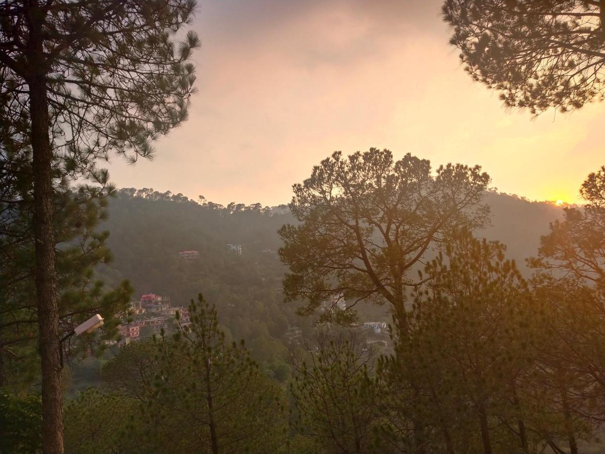 Pine Villa Kasauli Zewnętrze zdjęcie
