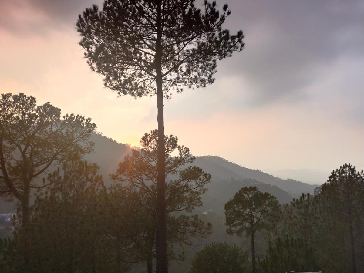 Pine Villa Kasauli Zewnętrze zdjęcie