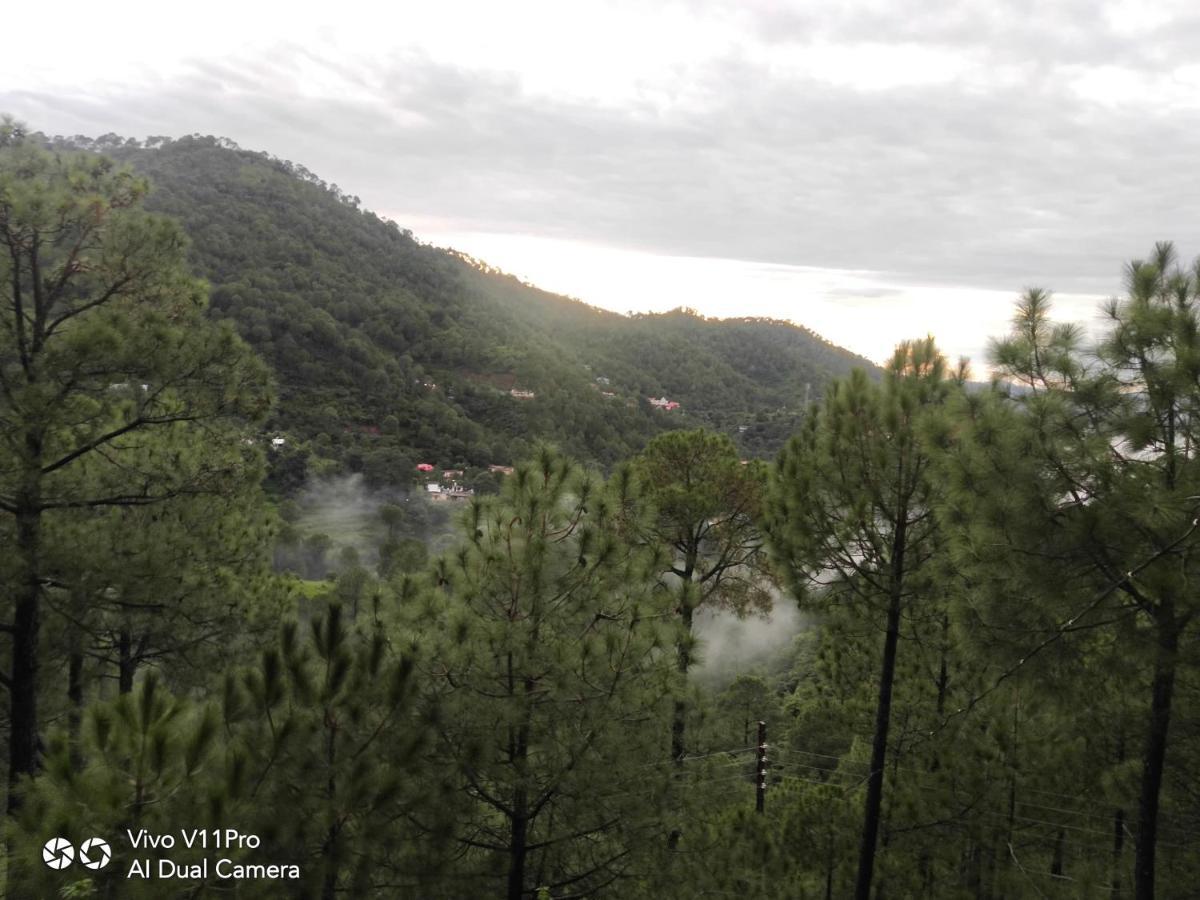 Pine Villa Kasauli Zewnętrze zdjęcie