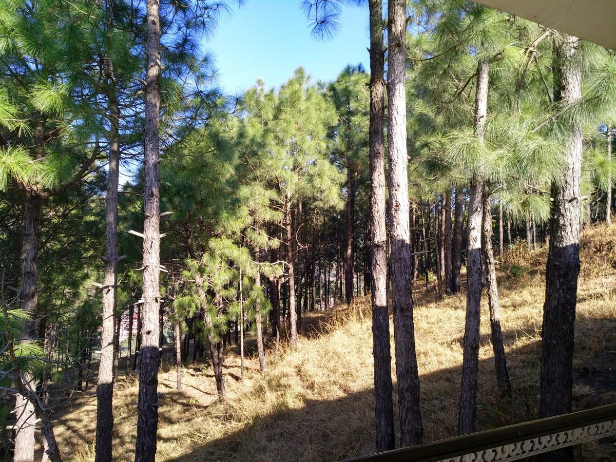 Pine Villa Kasauli Zewnętrze zdjęcie