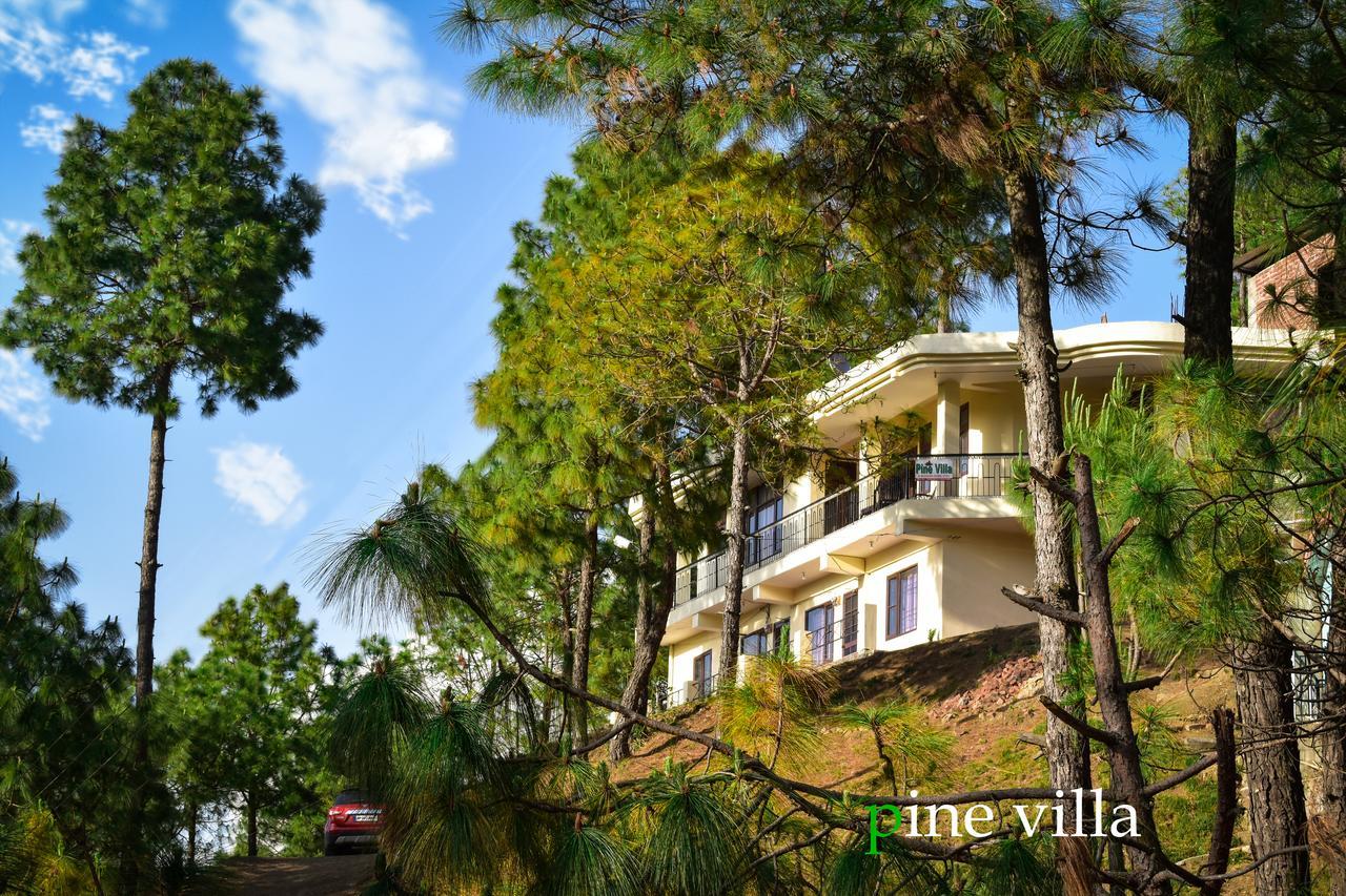 Pine Villa Kasauli Zewnętrze zdjęcie